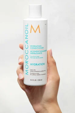 Après-Shampooing Hydratant Après-Shampoing|Cheveux Normaux