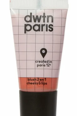 Blush 2-en-1 Lip & Cheeks Gloss|Blush
