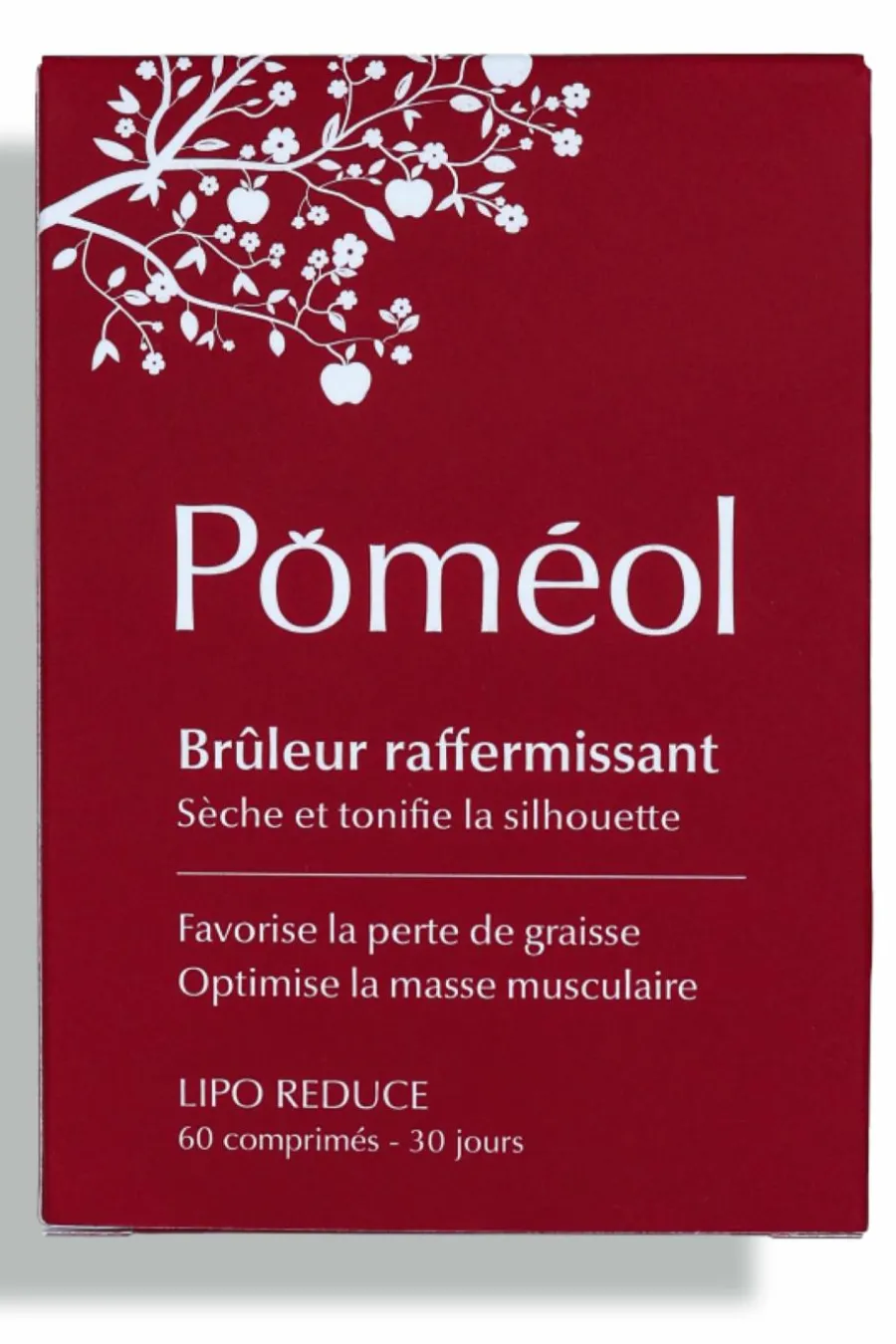 Hot Complément alimentaire brûleur de graisse Complément Alimentaire
