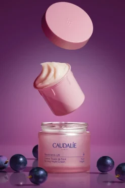 Crème Cachemire Redensifiante Resveratrol rechargeable Soin De Jour