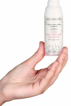 Online Crème concentrée repulpante Soin De Nuit|Soin De Jour