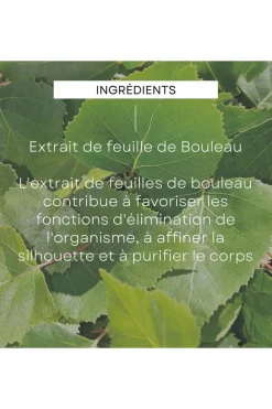Hot Crème de douche gommante au bouleau Gel Douche & Savon Liquide