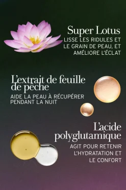 Clearance Crème de nuit au lotus et à la vitamine E Soin De Nuit