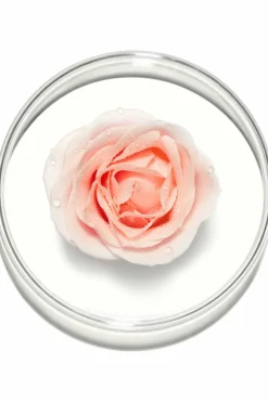 Sale Crème hydratante anti-stress Hydra Zen SPF15 Soin De Jour