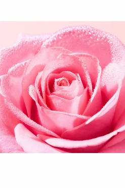 Sale Crème mains et ongles apaisante Very Rose Mains