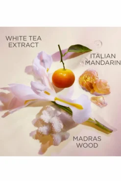 Hot Crème pour les mains douceur ultime White tea Mains