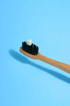 Outlet Dentifrice solide à la menthe fraîche Dentifrice & Blanchisseur