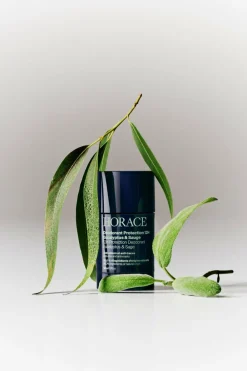 Clearance Déodorant Protection 12H Eucalyptus & Sauge Déodorant
