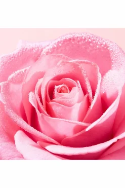 Hot Gommage éclat visage Very Rose Masque Crème|Gommage & Peeling