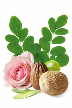 Huile capillaire régénérante et réparatrice Rose Repair Masque & Soin