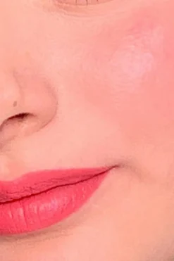 Clearance Lips & blush 2-en-1 Rouge À Lèvres|Blush