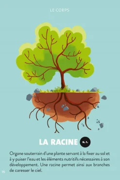 New Livre Méditer avec Petit Bambou Livres|Méditation