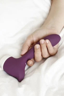 Sextoy 2 en 1 stimulateur clitoridien & vibromasseur The Amazing Vibromasseurs & Sextoys