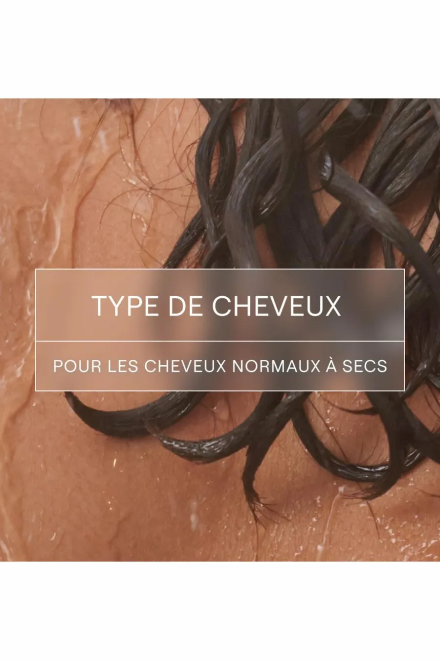 Shampooing solide hydratation & brillance Shampoing