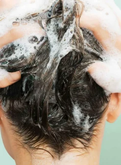 Best Shampooing solide nourrissant Gel Douche & Savon Liquide