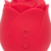 New Stimulateur clitoridien succion Rose Vibromasseurs & Sextoys