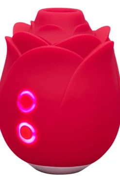 New Stimulateur clitoridien succion Rose Vibromasseurs & Sextoys