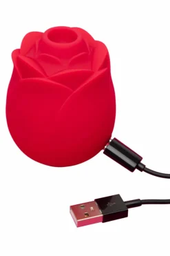 New Stimulateur clitoridien succion Rose Vibromasseurs & Sextoys