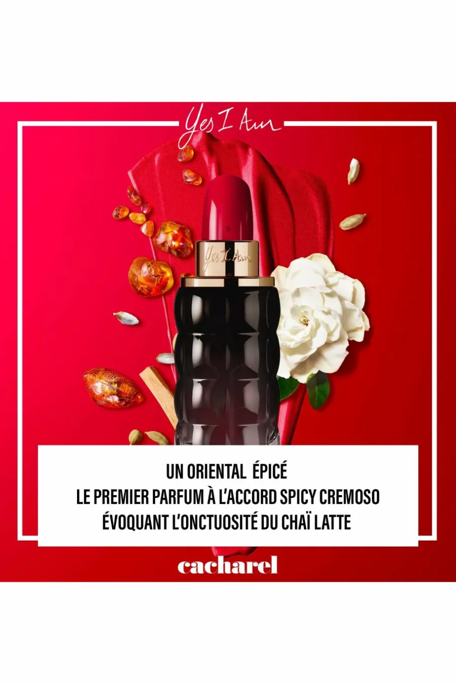 Discount Yes I Am Eau de Parfum Femme Eau De Parfum